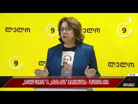 „ქართული ოცნების“ და „ხალხის ძალის“ გადაწყვეტილება - ოპოზიციის გეგმა