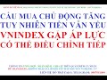 Cu mua ch ng tng nhng tin vn yu vnindex gp p lc iu chnh vo tun sau