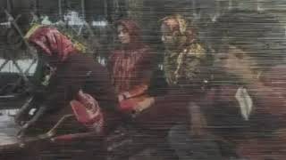 Persian Rugs: Weaving In Turkmen