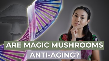 The Surprising Longevity Effects of Psilocybin