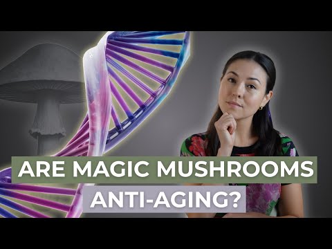 Doctor Explains Longevity Effects of Psilocybin