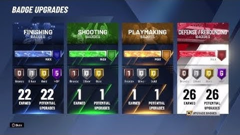 Best Paint Beast Build and Badge Setup on 2K20