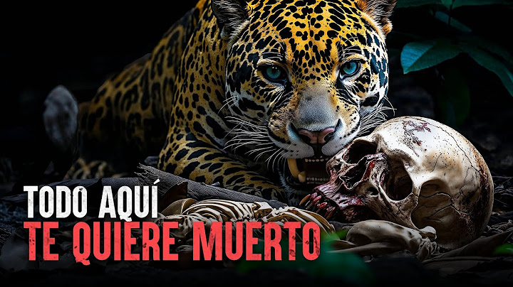 Cómo Sobrevivir los 5 animales más mortales de Sudamérica