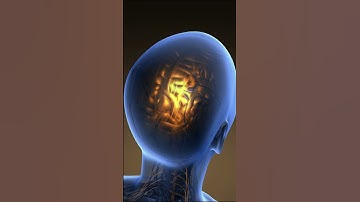 Why Do You Not Remember Anything When Drunk? #shorts