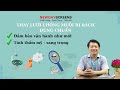 Cách thay lưới chống muỗi bị rách đúng chuẩn, lưới muỗi Seiki Nhật [Cửa lưới New Day]|08 3398 3399