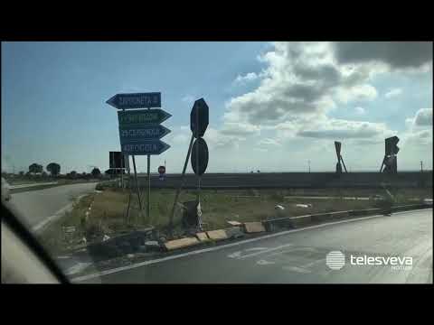 Video Zapponeta, resti di cadavere ritrovati in campagna: a chi appartiene quel corpo?