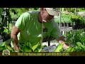 Herbeins garden center  fall projects  30 tv commercial