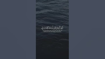 تلاوة مريحة للقلب من أواخر  سورة الكهف  /  حالات واتساب دينية