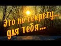 Это по секрету, для тебя!