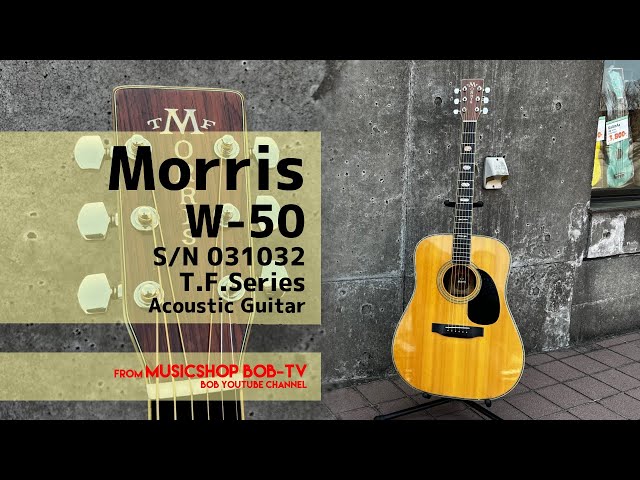 モーリス　アコースティックギター　TF Morris W-50