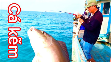 câu cá biển tập 2// câu cá kẽm, câu cá bè trang gặp cá lớn