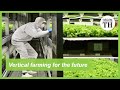 What is vertical farming?