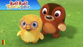 Download Lagu Ruff-Ruff, Tweet and Dave - 03 - A Hide and Seek Adventure MP3 Download Lagu Ruff-Ruff, Tweet and Dave - 03 - A Hide and Seek Adventure MP3