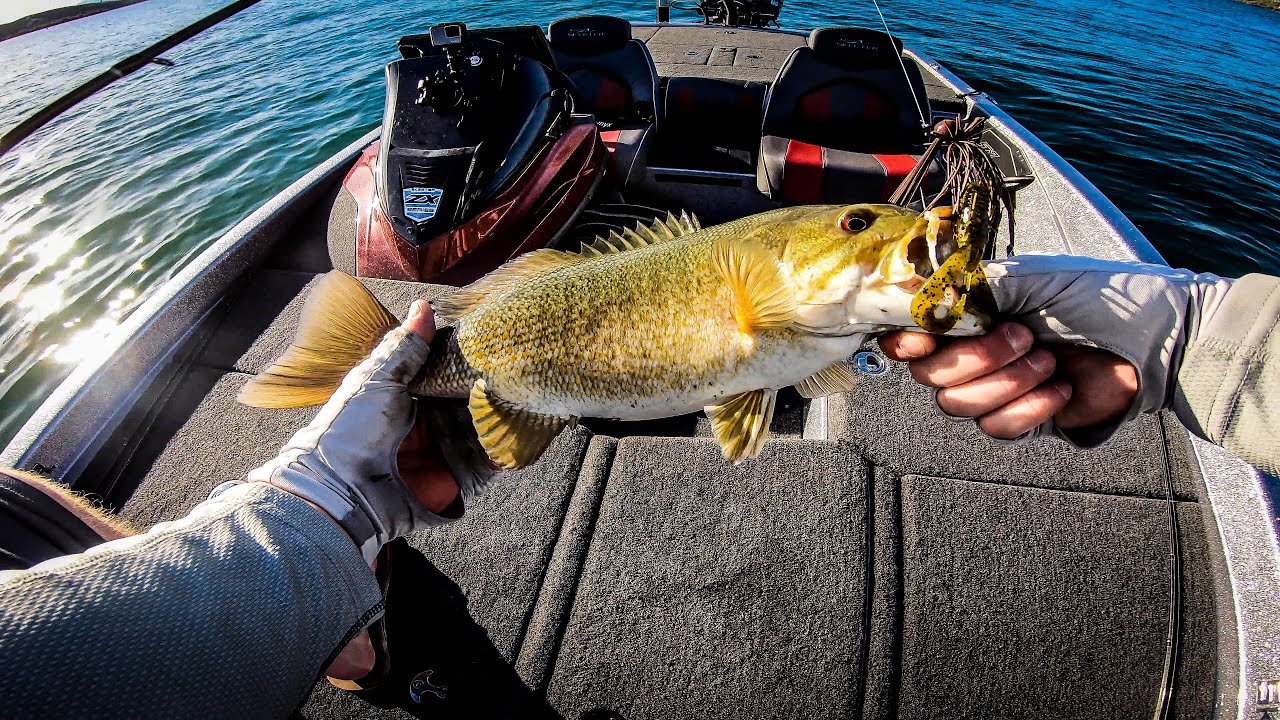 Afternoon Search for Giant Smallmouth Bass on Finesse Jigs YouTube