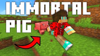 If This Pig Touches Me, I Die...