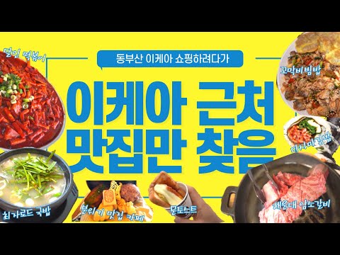   먹다보니tv 동부산 이케아를 갔는데 맛집을 가버렸습니다 동부산 이케아 근처 맛집 추천 해운대 송정 기장