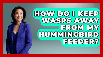How Do I Keep Wasps Away From My Hummingbird Feeder? - Bird Watching Diaries