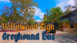 To see Hollywood Sign from Greyhound Bus Station in DTLA!【Subscriber's Request Vol. 1】HD