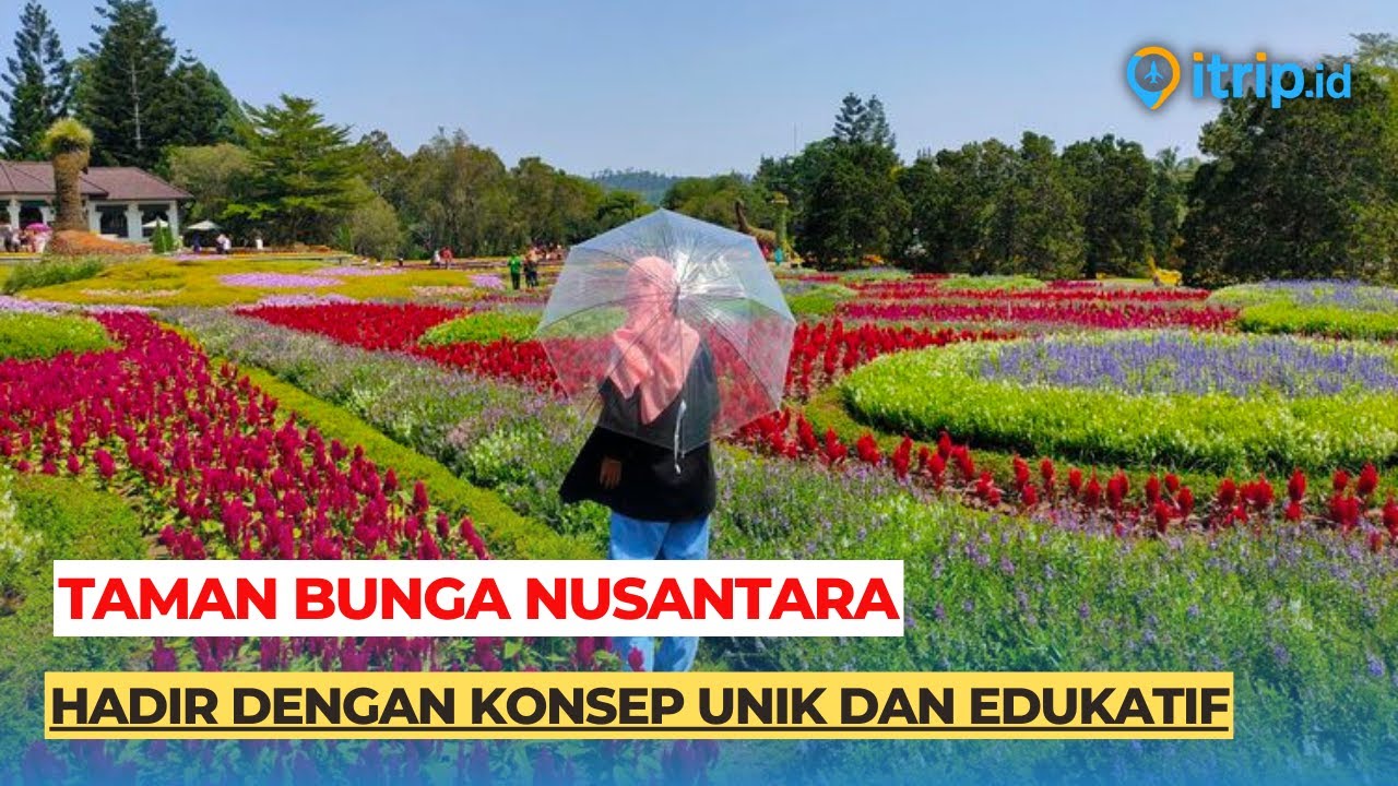 Cantiknya Taman Bunga Nusantara Cianjur yang Unik dan Instagramable dengan Bunga Aneka Warna