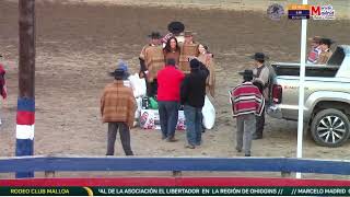 Serie Campeones  - Rodeo Club Malloa  - Asoc. El Libertador - Medialuna Quinta de Tilcoco