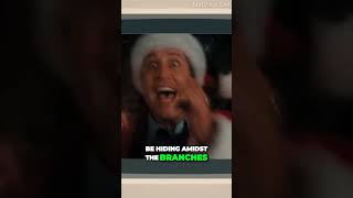 Pest Infested Christmas Trees Beware Of Uninvited Guests