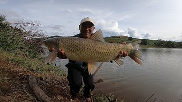 Hành trình 3 ngày săn hàng hồ mới và cái kết - Nghe nói hồ nhiều cá to lắm | 4-11-2025