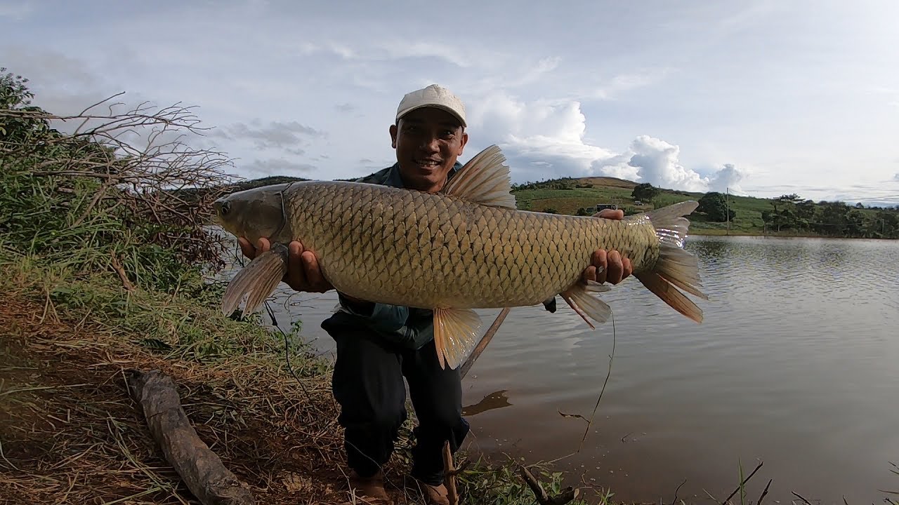 Hành trình 3 ngày săn hàng hồ mới và cái kết - Nghe nói hồ nhiều cá to lắm | 4-11-2025
