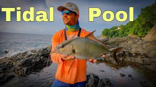 FISHING in TIDAL POOLS @BrettThompsonfishing