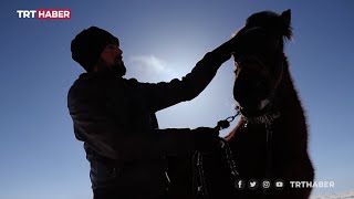 Atlar Kar Üstünde Yarışlara Hazırlanıyor