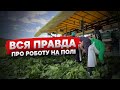 Будьте обережні! Неприємна правда про роботу на полях!