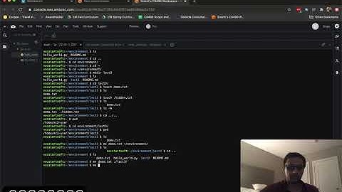 Lecture 3 Demo 1 - Bash Basics