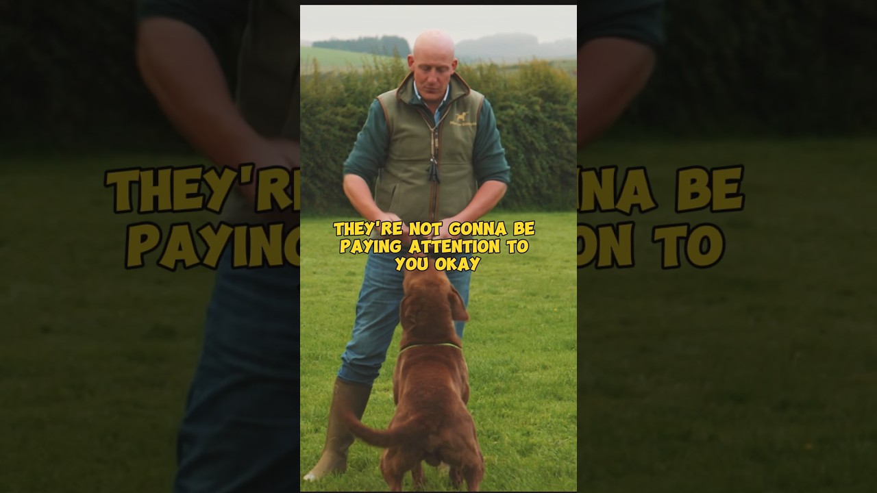 Their Not Going to Pay Attention to You!! 