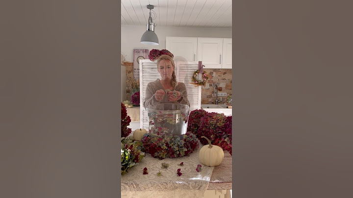 Hortensienromantik 🤍#diyideas #decoration #autumn #decorationideas #diyhomedecor #diy #flowers