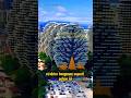 Konstruksi unik hotel pohon di sanya china #shorts #konstruksi #faktaunik #hotel