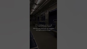 القرآن الكريم بصوت الشيخ ماهر المعيقلي اول سورة الضحى #type #اكسبلور #foryou #لايك #trending #viral