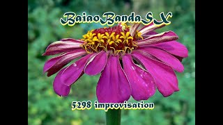BaiaoBandaSX - 5298 improvisation