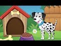Köpekler Hep Hav Hav Der - Çocuklar İçin Eğlenceli Şarkılar