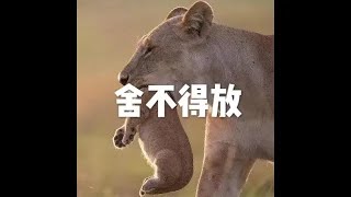 201401 舍不得放30650