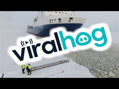 Pilot Steps onto Moving Ship || ViralHog