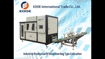 Shiitake Mushroom Industrial Production Line - Fully Automatic Mushroom Plant