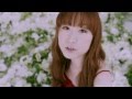 Choucho  authentic symphony official