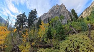 Sonar Wall Rock Climb with Fall Foliage, Spring Mountains, NV