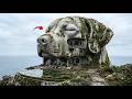 Transforming an abandoned Meme Cooked dog-shaped house Into a Ultra-Luxury Island Retreat