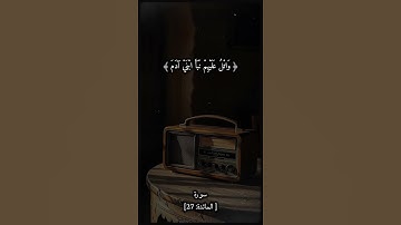 سورة المائدة بصوت الشيخ سيد سعيد رحمه الله #قرآن #قران_كريم #راحه_نفسيه #الشيخ_سيد_سعيد #funny #fyp