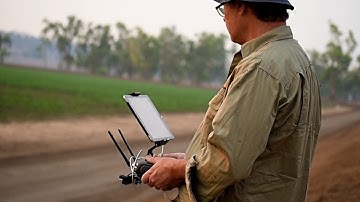 Parabug Australia promo