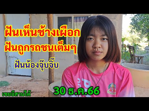 ผลสลากกินแบ่งรัฐบาล วันที่ 1 พย. 2567