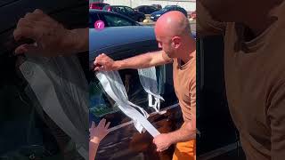 Thumbnail for Heartwarming: Stranger Saves Puppy from Hot Car #shorts