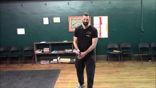 Vier Leger of Codex Döbringer, Longsword Lesson 18