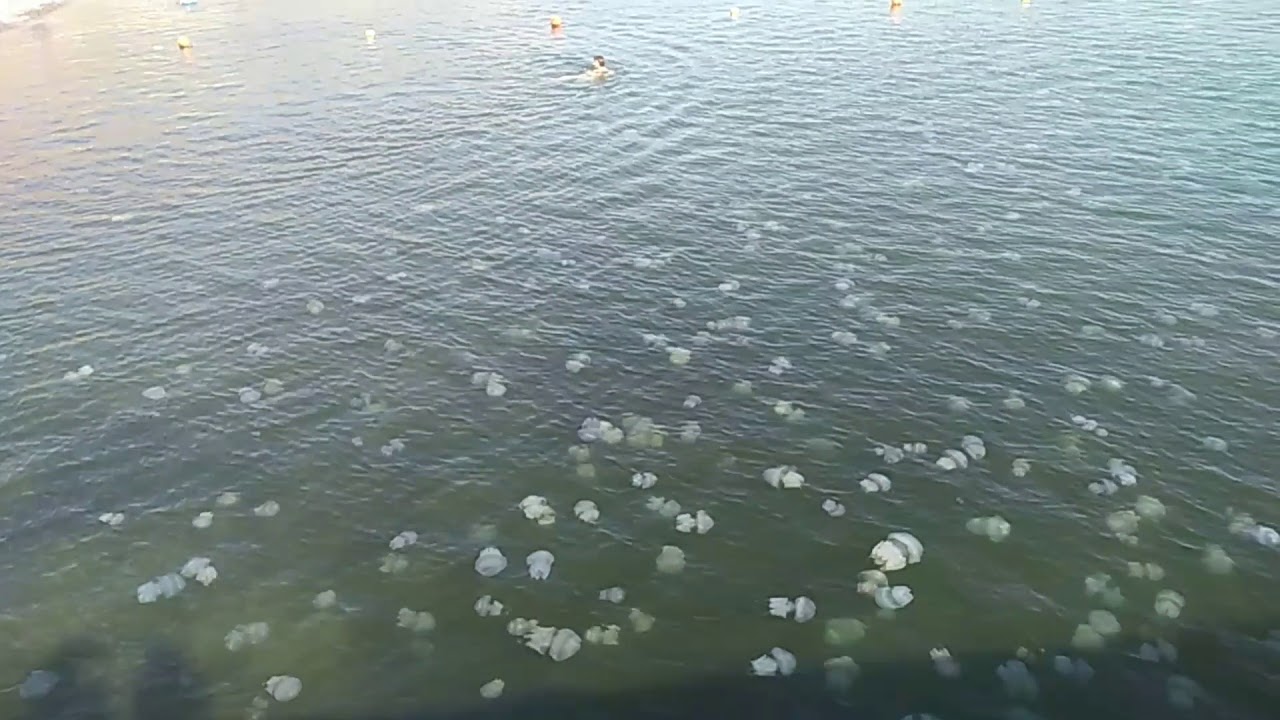 Карта хорлы херсонская область