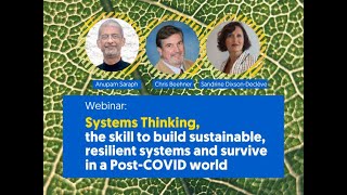 Webinar: Systems Thinking, the skill to build sustainable, resilient systems